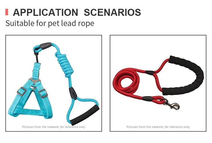 Pet Leash Strap Keeper